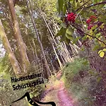 Heimatliebe Vier * Erfweiler