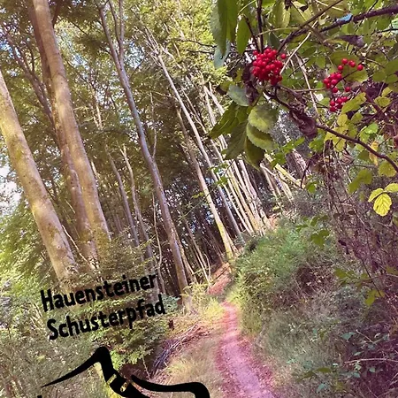 Heimatliebe Vier * Erfweiler