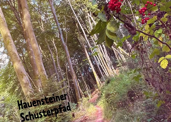 Heimatliebe Vier * Erfweiler